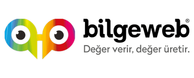 Bilgeweb Logo
